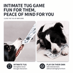 Crinkle Newspaper Dog Toy
