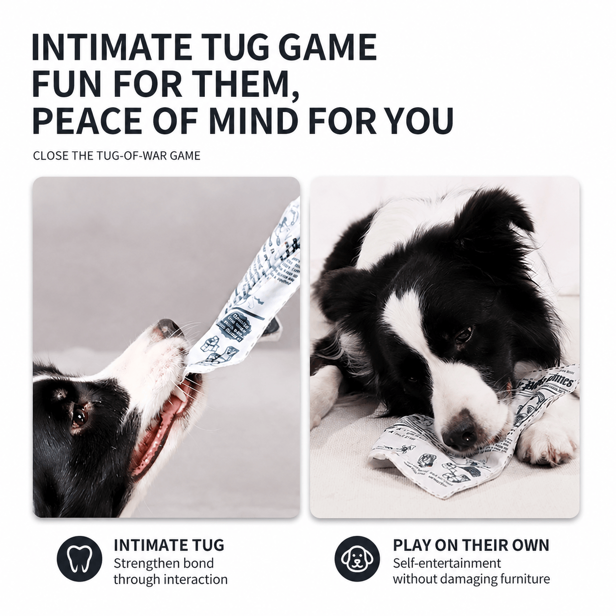 Crinkle Newspaper Dog Toy