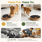 Interactive Dog Nail Scratch Board with Treat Box Fursera