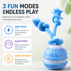 Smart Interactive Dog Ball Toy, Automatic Rolling Rope Toy Fursera