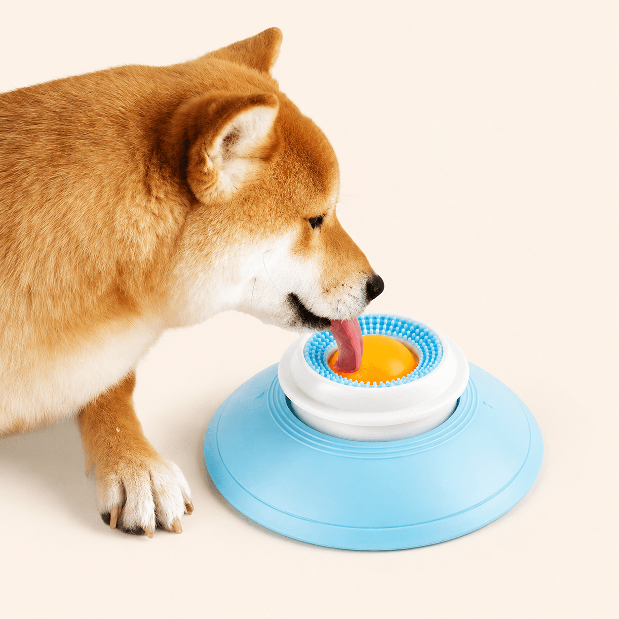 Wall Mounted Dog Lick Mat – Slow Feeding Treat Toy Fursera