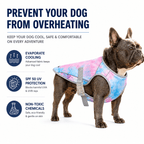 Dog Cooling Vest for Hot Weather – Lightweight Evaporative Cooling & UV Protection Vest Fursera