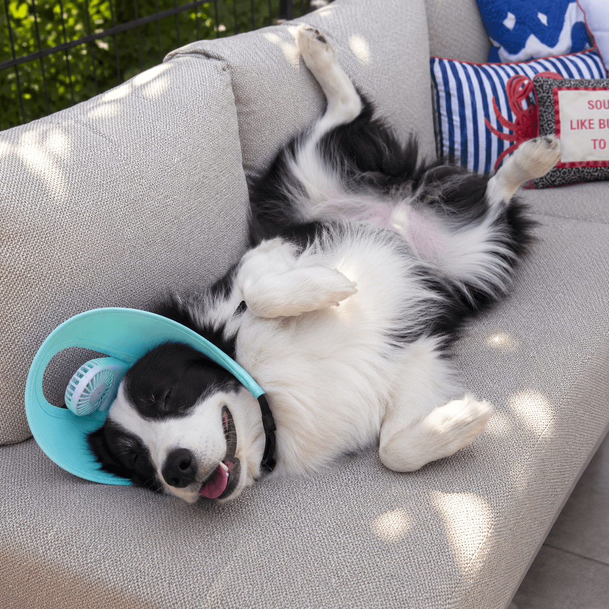 Pet Cooling Fan Hat Fursera