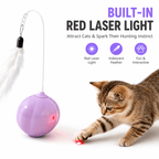 Interactive Feather &amp; Laser Cat Toy – Wobble Teaser with Bell Fursera