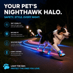 Motion-Activated LED Dog Boots – Breathable Anti-Slip Paw Protection Shoes - 2pcs Fursera