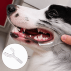 Dog Dental Mouth Opener 2-Pack Fursera
