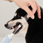 Dog Dental Mouth Opener 2-Pack Fursera