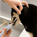Dog Dental Mouth Opener 2-Pack Fursera