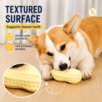Squeaky Peanut Dog Chew Toy – Textured Dental Toy for Boredom &amp; Interactive Play Fursera
