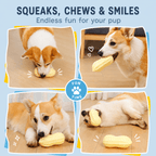 Squeaky Peanut Dog Chew Toy – Textured Dental Toy for Boredom &amp; Interactive Play Fursera