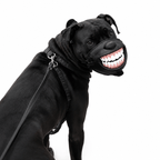 Funny Dog Muzzle with Teeth – Adjustable Novelty Dog Mask Fursera