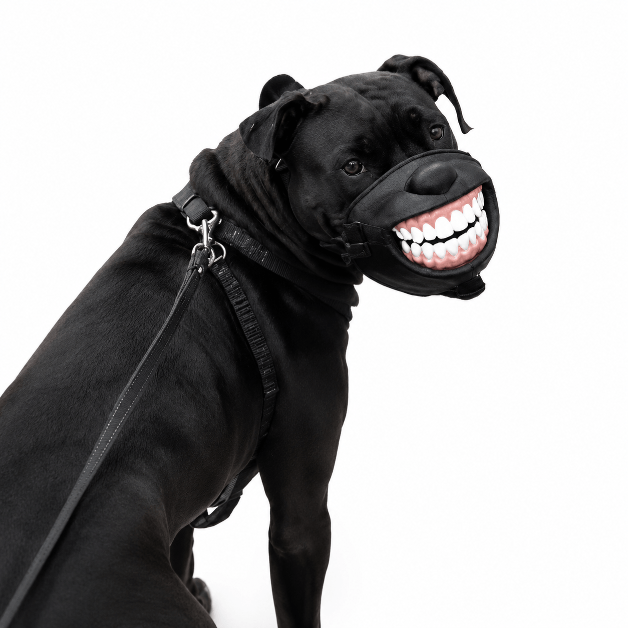 Funny Dog Muzzle with Teeth – Adjustable Novelty Dog Mask Fursera