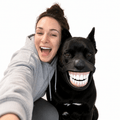 Funny Dog Muzzle with Teeth – Adjustable Novelty Dog Mask Fursera