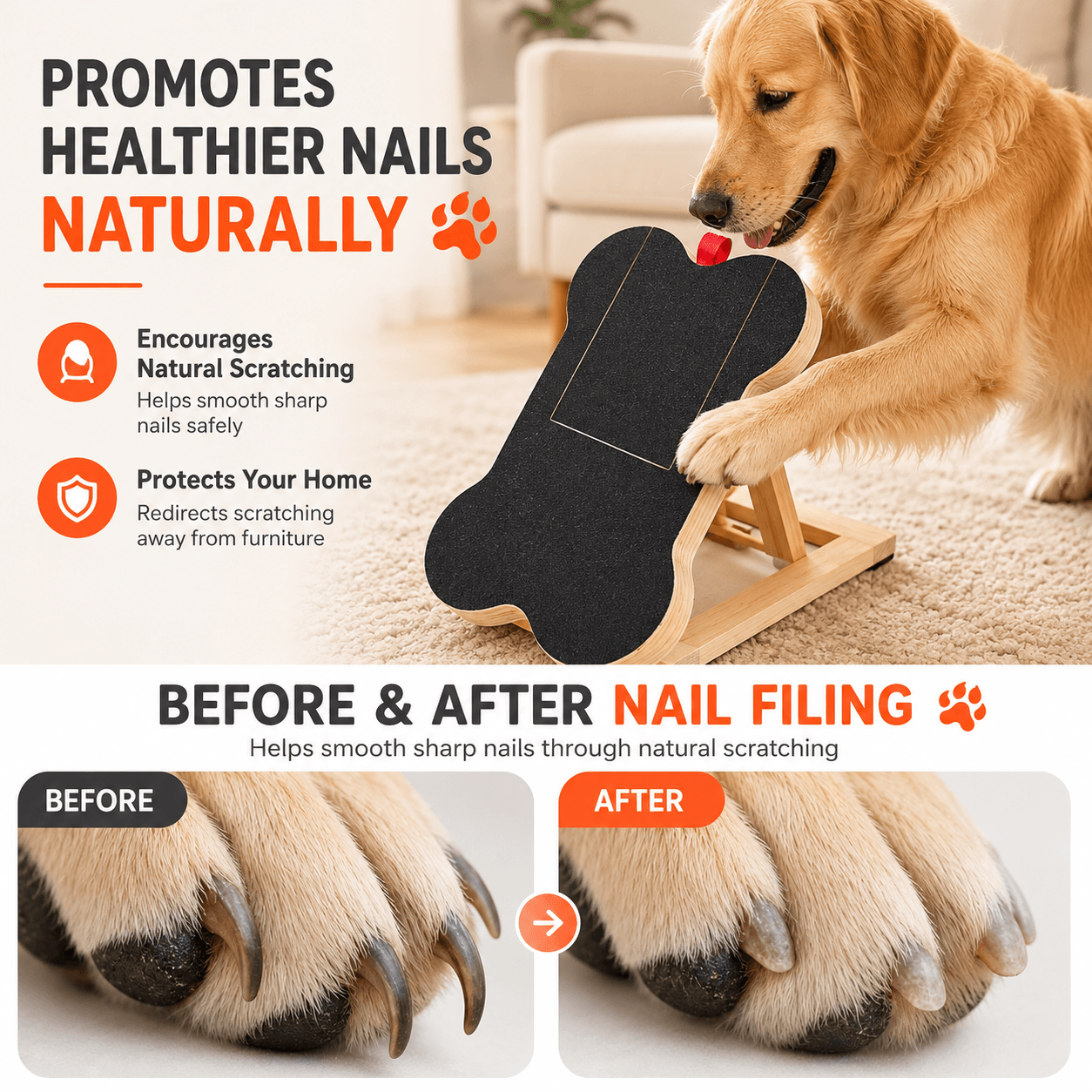 Dog Nail Scratch Board with Hidden Treat Box Fursera