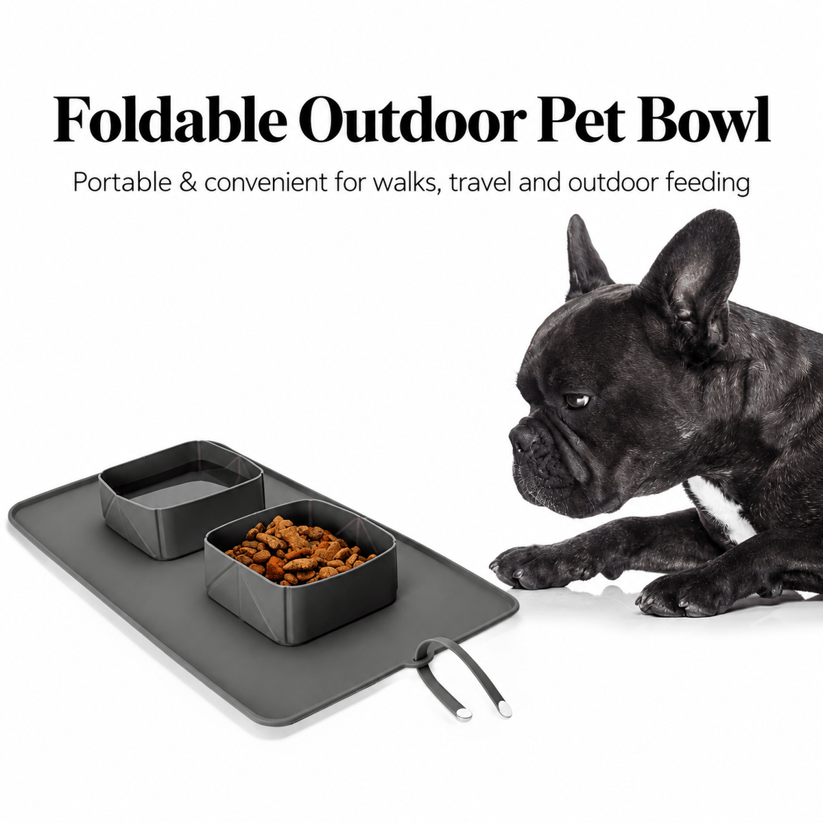 Collapsible Silicone Double Pet Bowl & Feeding Mat Fursera