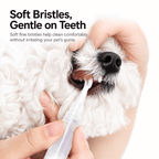 2-in-1 Pet Toothbrush Pen for Cats & Dogs Fursera