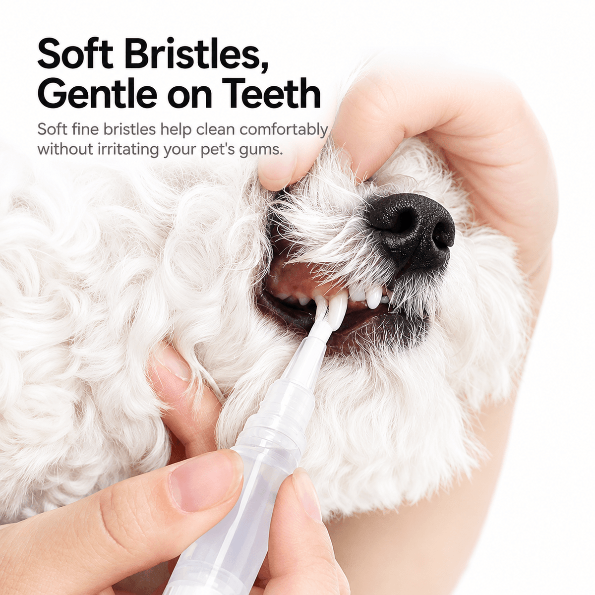 2-in-1 Pet Toothbrush Pen for Cats & Dogs Fursera