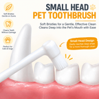 Pet Dental Toothbrush 2-Pack – Flat & Pointed Brush Heads for Cat & Dog Teeth Cleaning Fursera