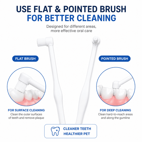 Pet Dental Toothbrush 2-Pack – Flat & Pointed Brush Heads for Cat & Dog Teeth Cleaning Fursera