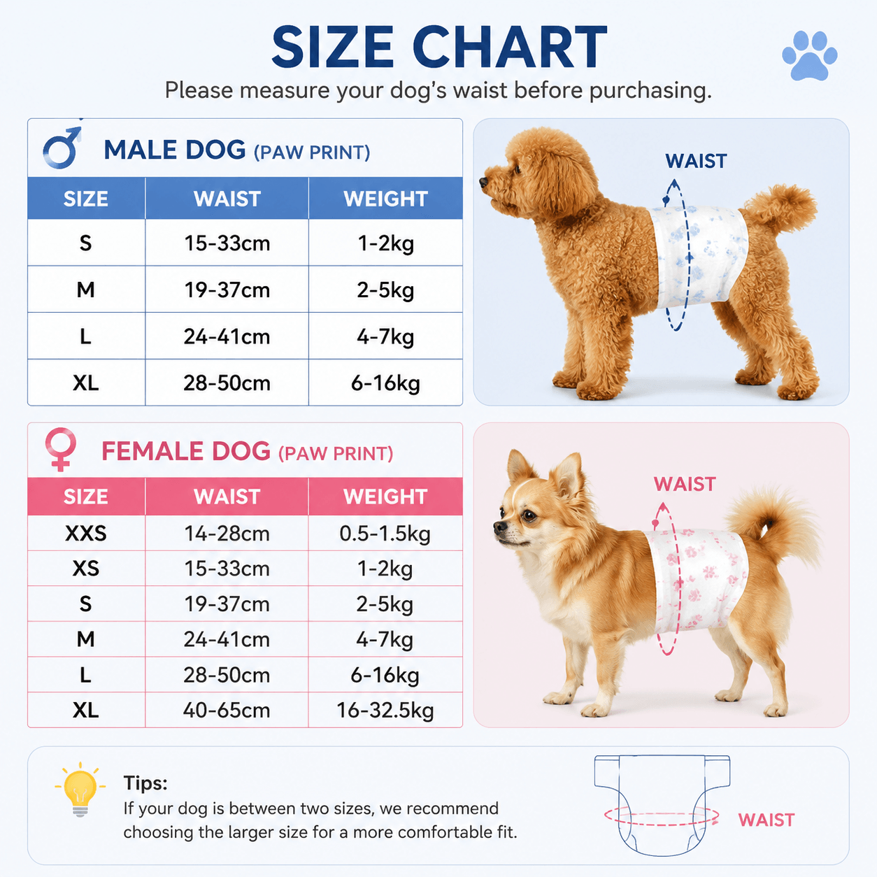 Disposable Dog Diapers for Male & Female Dogs 10 Pack Fursera