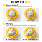 Automatic Rolling Dog Ball Fursera