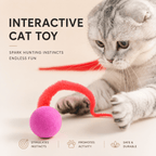Colorful Bouncing Ball Cat Toys (5 Pack)