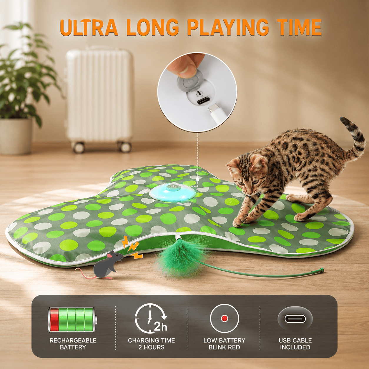 Interactive Hide & Seek Cat Toy with Moving Feather