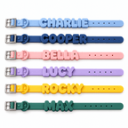 Personalized Waterproof Silicone Pet Collar & Leash Set Fursera