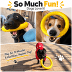 Dog Fetch & Tug Ring – Soft, Lightweight EVA Toy Fursera