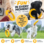 Dog Fetch & Tug Ring – Soft, Lightweight EVA Toy Fursera