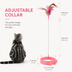 Hands-Free Collar Feather Cat Teaser