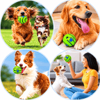 Giggle Ball Dog Toy – Interactive Wobble Ball