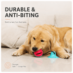 Dog Chew Toy for Aggressive Chewers