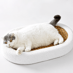Scratch Lounge – Soft Plush Lounge Bed for Indoor Cats