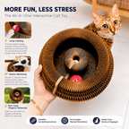 Interactive Honeycomb Cat Scratcher Lounge