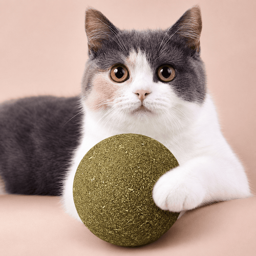 Giant Catnip Ball
