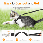 Breathable Adjustable Pet Harness & Leash Set