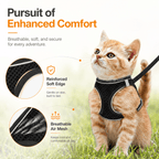 Breathable Adjustable Pet Harness & Leash Set