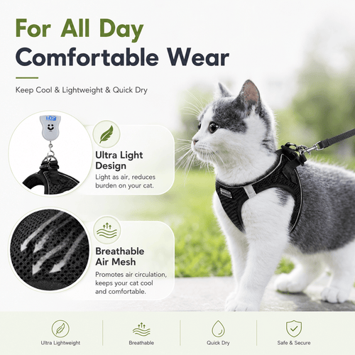 Breathable Adjustable Pet Harness & Leash Set