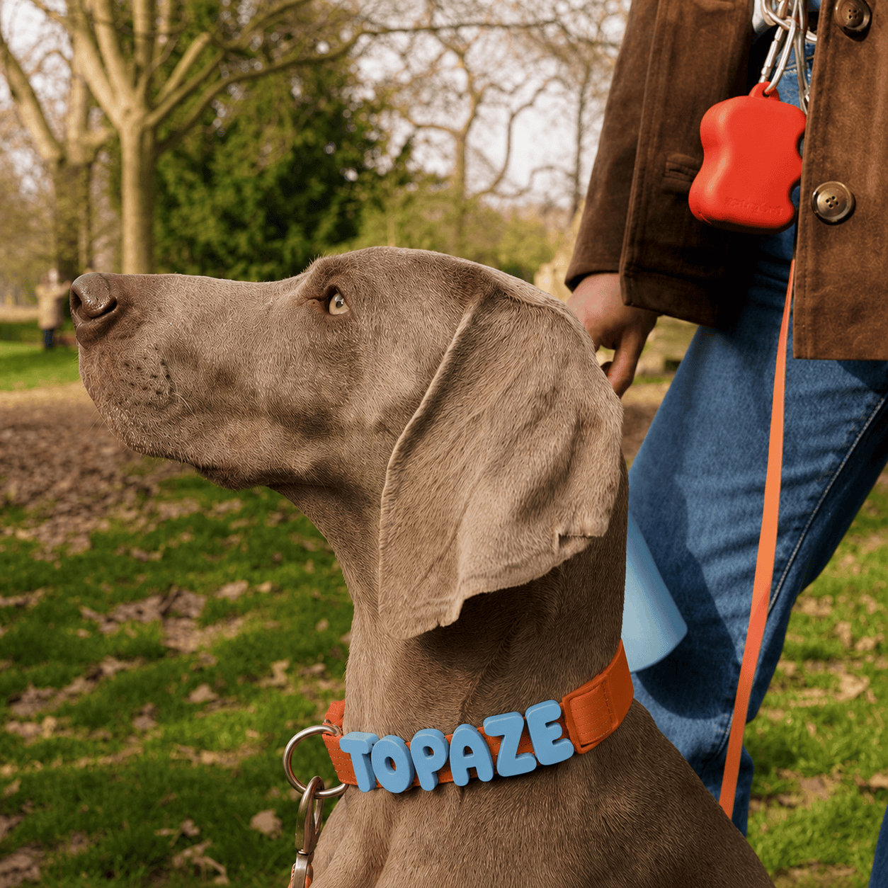 Waterproof Dog Collar with Custom Name Charms