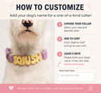 Waterproof Dog Collar with Custom Name Charms