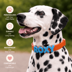 Waterproof Dog Collar with Custom Name Charms