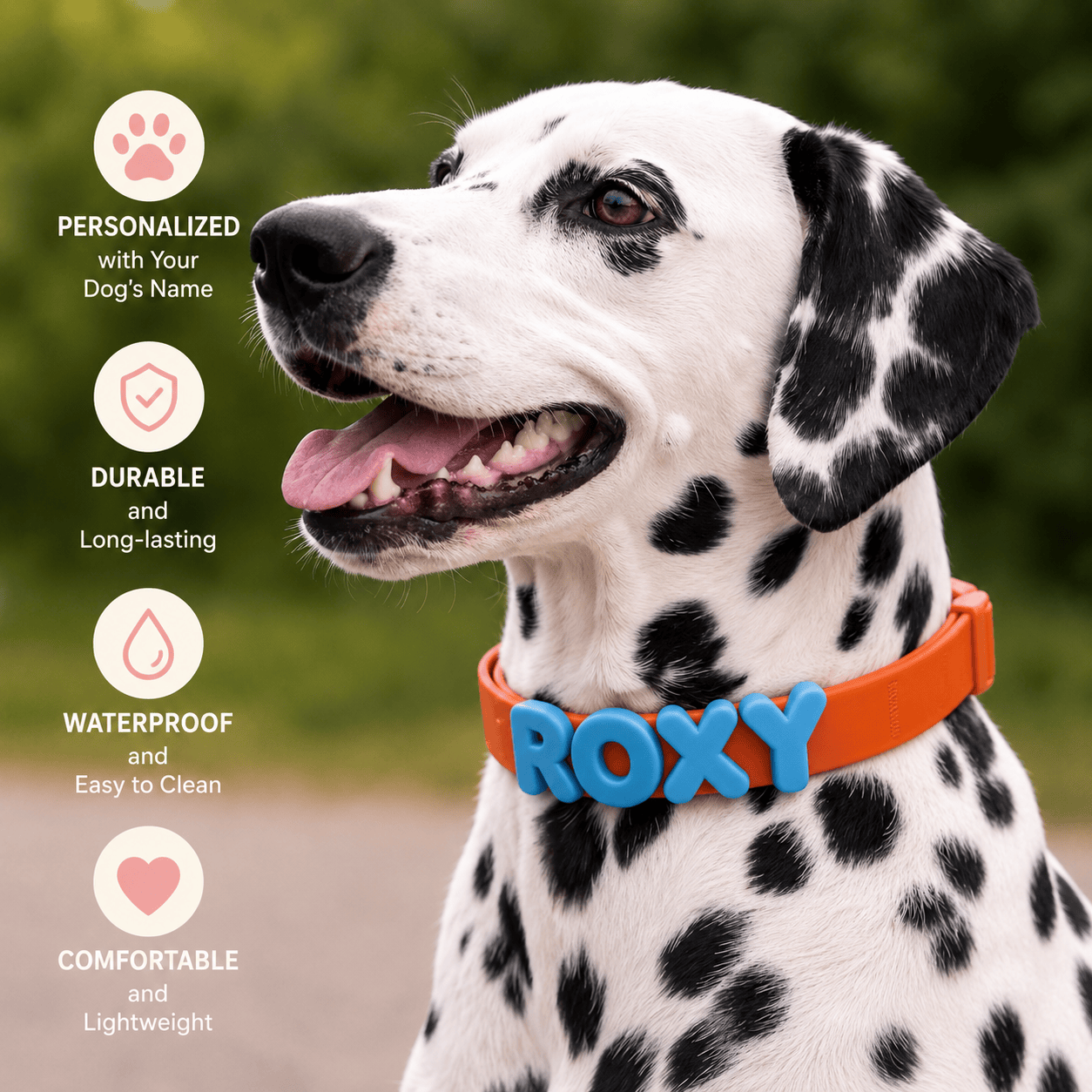 Waterproof Dog Collar with Custom Name Charms