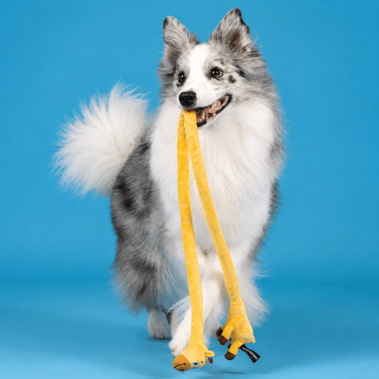 Long Plush Squeaky Dog Toy – Durable Interactive Tug-of-War Chew Toy Fursera