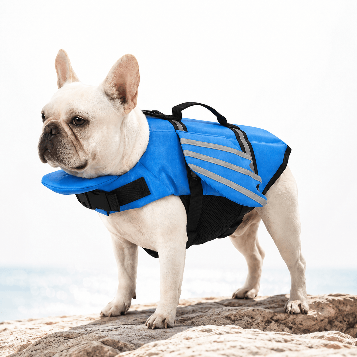 Reflective Angel Wing Dog Life Jacket Quick-Rescue Handle • Breathable Mesh • Reflective Safety Fursera