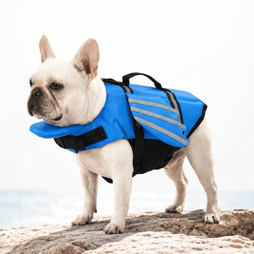 Reflective Angel Wing Dog Life Jacket Quick-Rescue Handle • Breathable Mesh • Reflective Safety Fursera