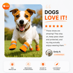 Breathable Mesh Dog Shoes – Anti-Slip Reflective Summer Paw Protection Boots
