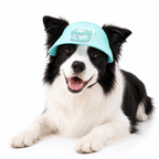 Pet Cooling Fan Hat Fursera