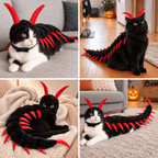 Halloween Centipede Cat Costume Fursera