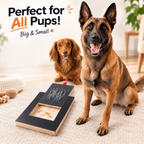 Dog Nail Scratch Board & Treat Puzzle Fursera